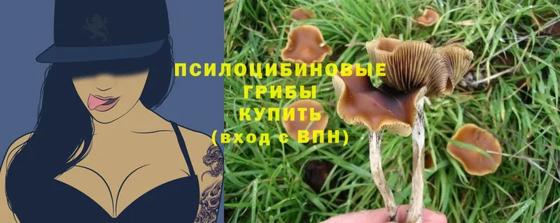 Галлюциногенные грибы Magic Shrooms  Жуков 